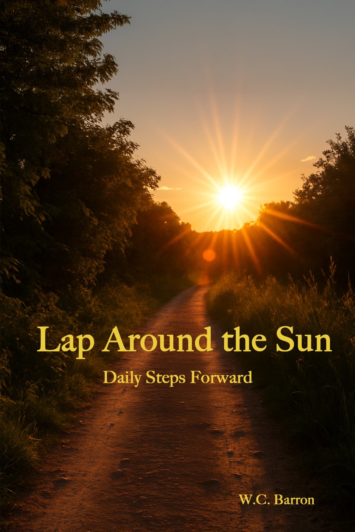 Book cover: Lap Around the Sun by W. C. Barron